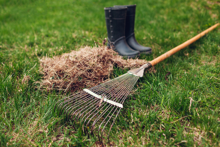 this is a photo of a metal rake cleaning up dry grass with worker boots in the background