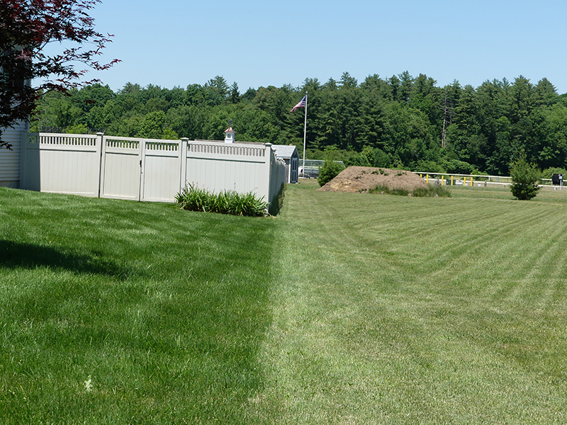 grass comparison of two different lawns, spray lawn care, fertilization program, new england lawn care